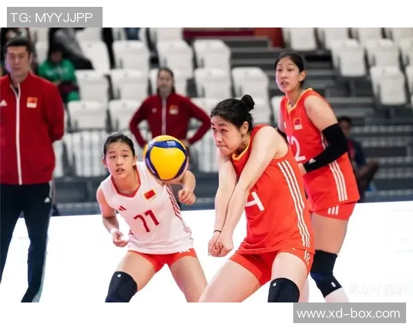 成都排球队的速度革命引发热议助力竞技水平提升