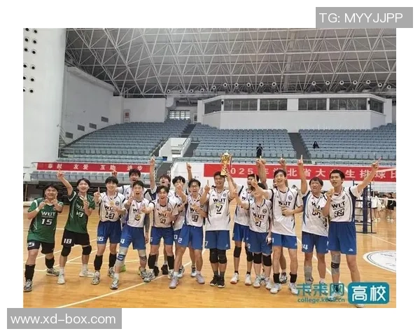 武汉排球队技术实力强劲荣登全国排球技术排行榜第三位