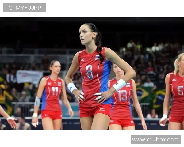 赵娜专访:从青涩球员到排球女神的奋斗与成长之路